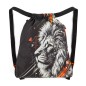 Bagmaster VEGA 26 A iskolatáska kis szett