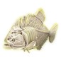 Régészeti ásatás – Piranha