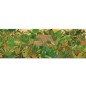 Puzzle - Elrejtőzve a természetben - 1000 db