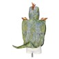 Souza! – Gyermekjelmez – T-Rex köpeny – 2 éveseknek, 92 cm