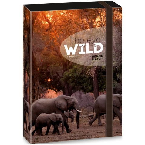 Ars Una Máté Bence The Eyes of the Wild - Elephant A4-es füzetbox