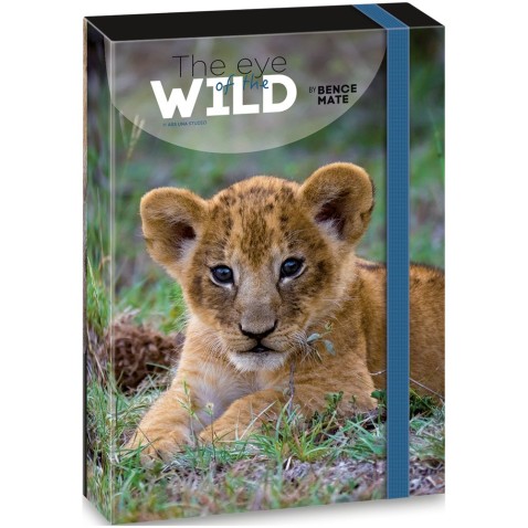 Ars Una Máté Bence The Eyes of the Wild - Lion A4-es füzetbox