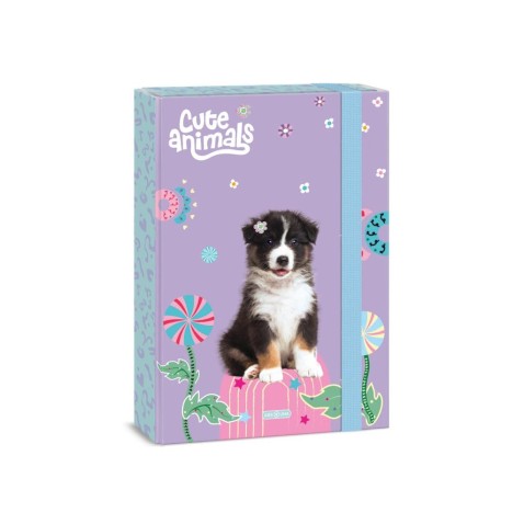 Ars Una Cute Animals - Aussie A4-es füzettartó box