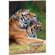 Ars Una Serenity Nature Tiger A4 gumis dosszié