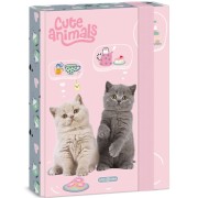 Ars Una Cute Animals - Tea Party A5-ös füzettartó box