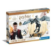 Harry Potter – Csikócsőr
