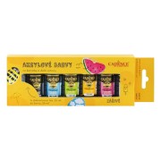 Cadence akrilfesték kavicsfestéshez, 6 db + akrillakk, 25 ml – élénk színek